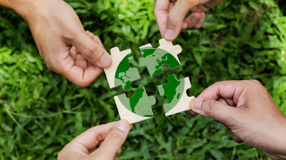 社会への取り組み